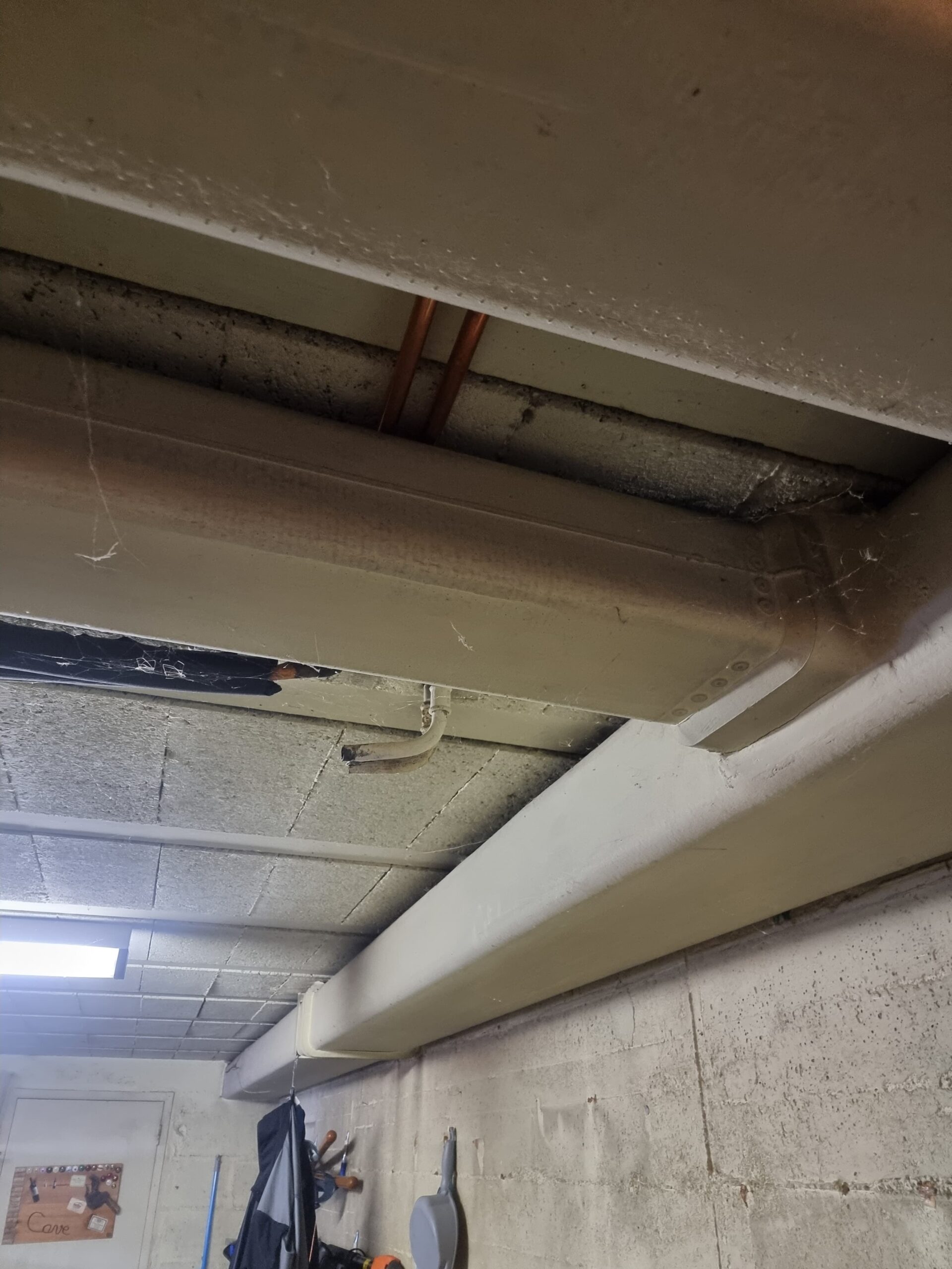 E2517923-8D4F-4815-978A-D6834886F18B